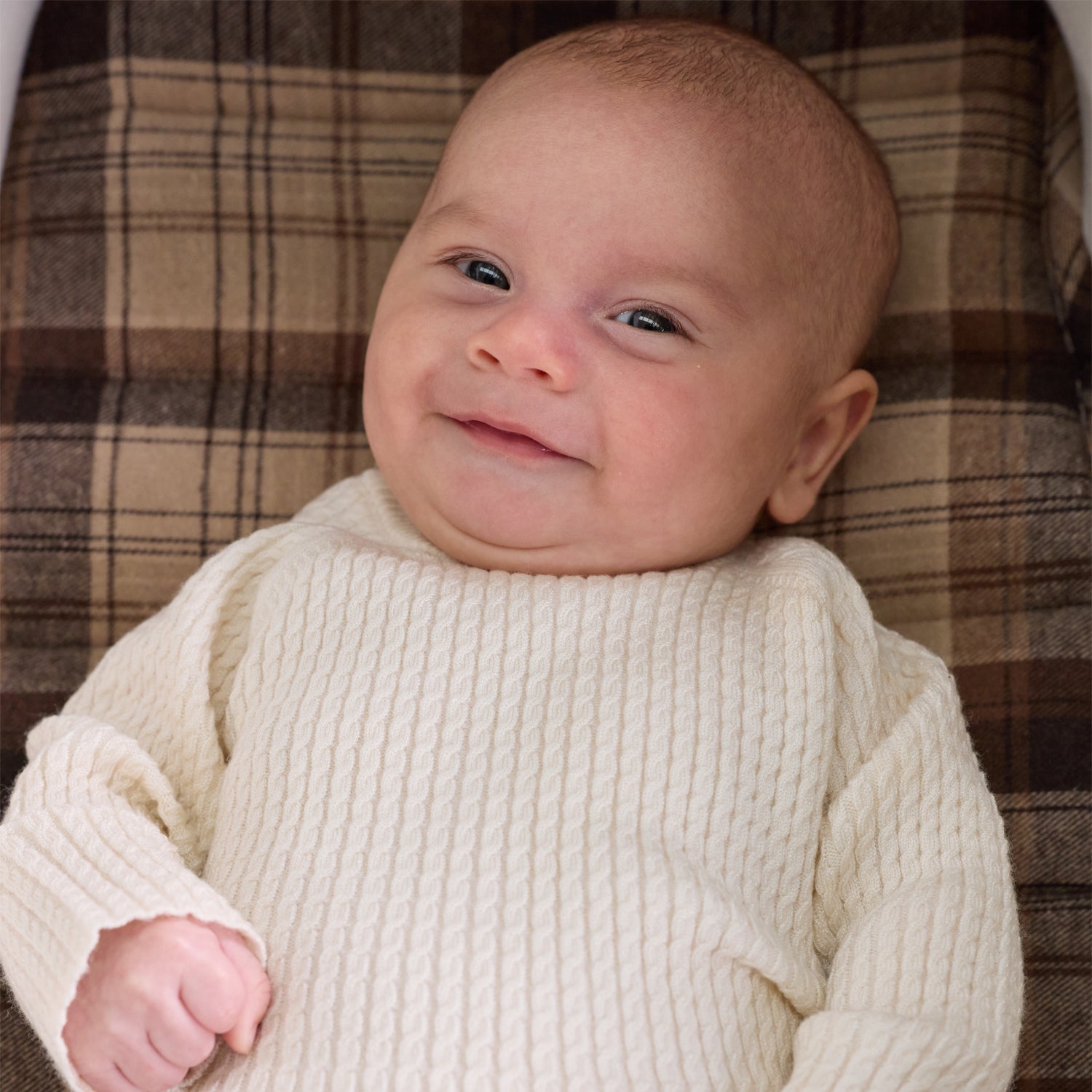 Chocolate Check Universal Bassinet Liner