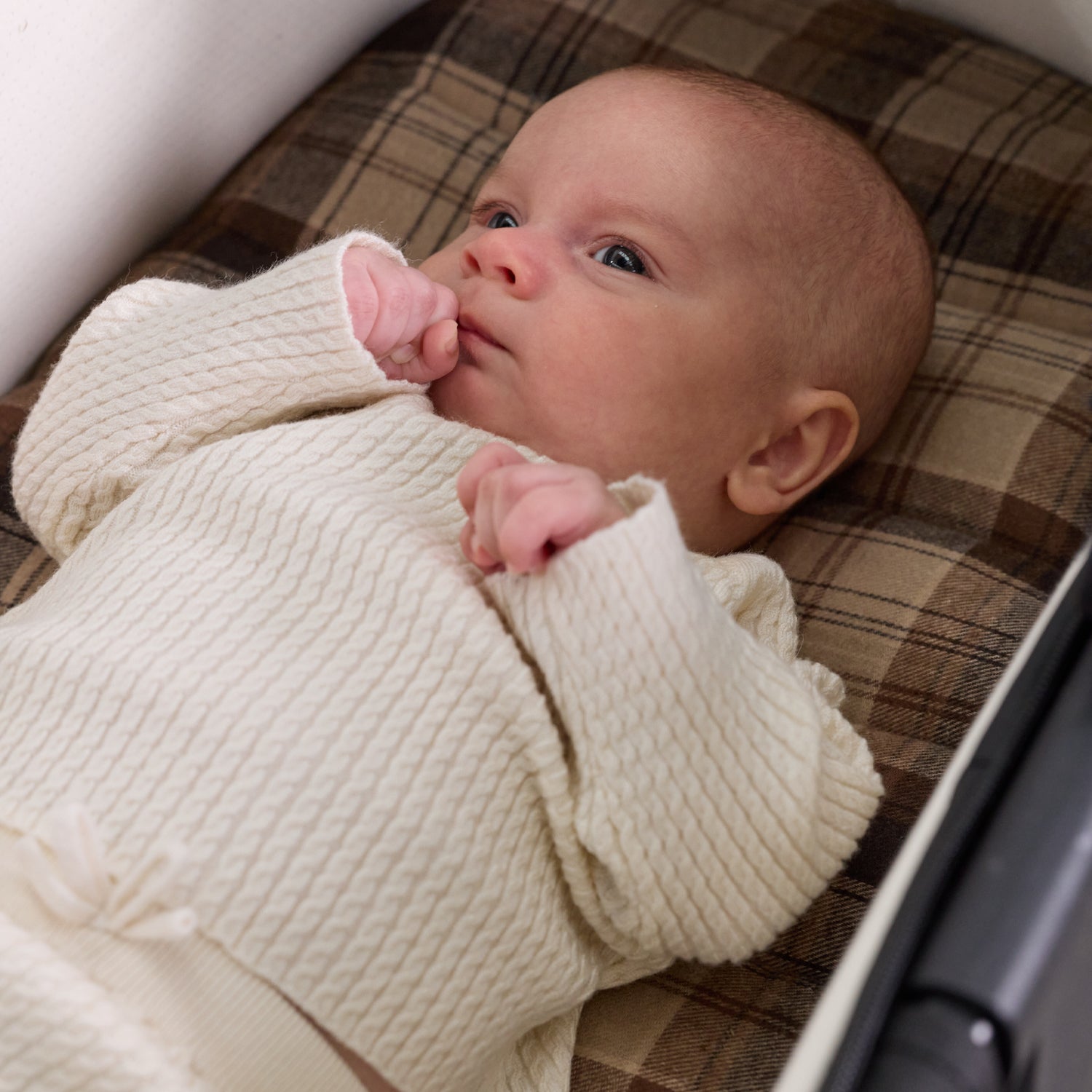 Chocolate Check Universal Bassinet Liner